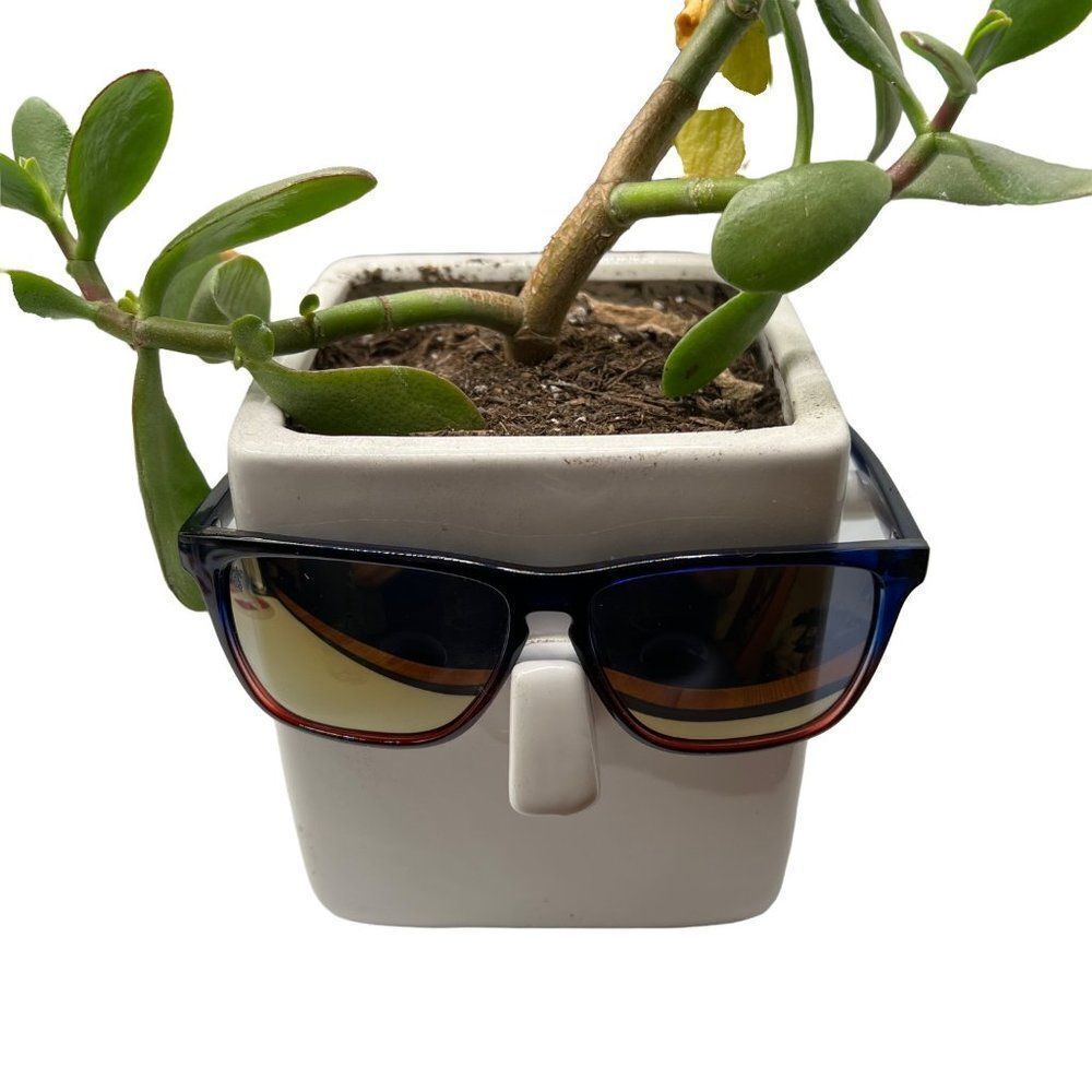 Knockaround Sunglasses